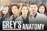 Greys-Anatomy