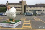 La statua a forma di gallina nel parcheggio di Eataly