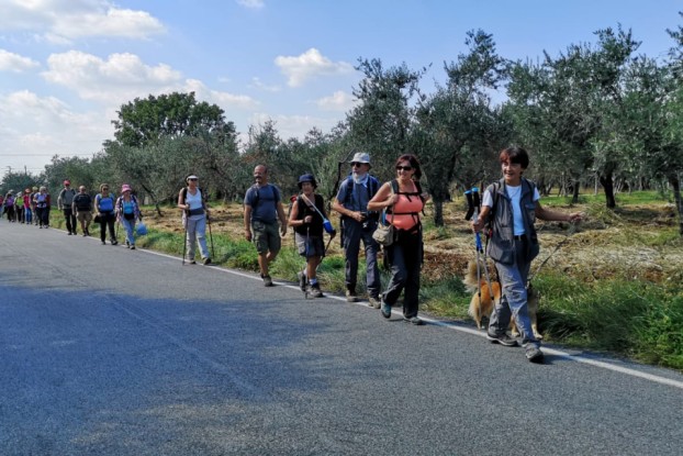 Una delle camminate organizzate dall'associazione Sentiero Verde